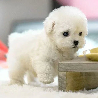 Interactieve Pluchen Hond met Realistische Bewegingen – Voor Kinderen & Senioren Wit