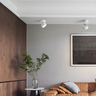Compact Verstelbare Plafondspot Gebalanceerde Verlichting