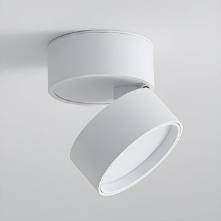 Compact Verstelbare Plafondspot Gebalanceerde Verlichting Wit 1 Stuk