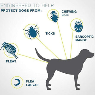 SafeGuard - Vlooien- en Tekenhalsband voor Honden & Katten | 8 Maanden Bescherming
