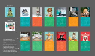 MEELANO Kalender for pissede katte 2025