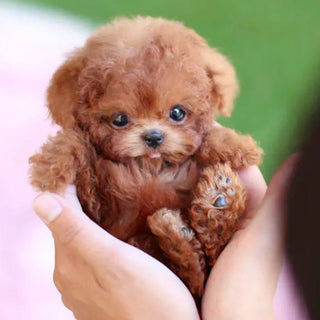 Interactieve Pluchen Hond met Realistische Bewegingen – Voor Kinderen & Senioren Bruin