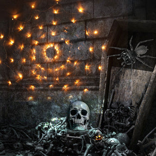 MEELANO Halloween dekorative lys Spider Web LED-lys