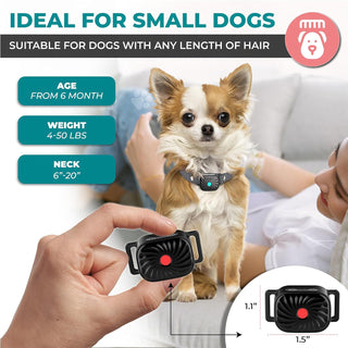 BarkEase Anti-Blaf Halsband voor Kleine Honden