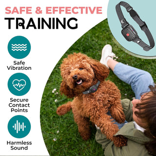 BarkEase Anti-Blaf Halsband voor Kleine Honden