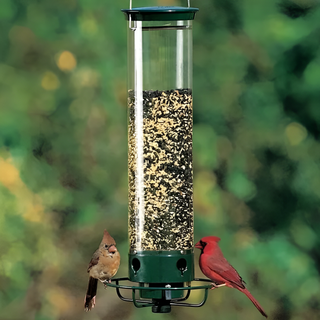 Eekhoornbestendige vogelvoeder voor wilde vogels. Buurteekhoorn. Default