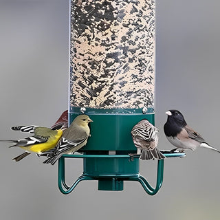 Eekhoornbestendige vogelvoeder voor wilde vogels. Buurteekhoorn.