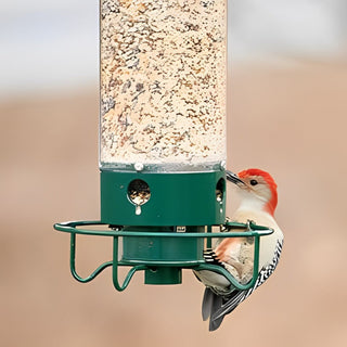 Eekhoornbestendige vogelvoeder voor wilde vogels. Buurteekhoorn.