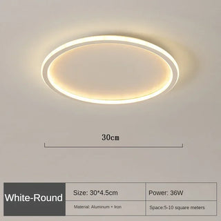 Scandinavische LED Plafondlamp – Modern, Dimbaar & Stijlvol voor Woonkamer, Eetkamer & Gang 30cm Wit