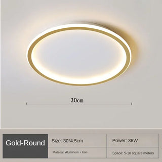 Scandinavische LED Plafondlamp – Modern, Dimbaar & Stijlvol voor Woonkamer, Eetkamer & Gang 30cm Goud