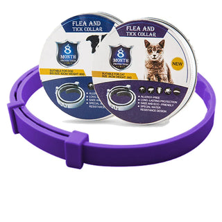 SafeGuard - Vlooien- en Tekenhalsband voor Honden & Katten | 8 Maanden Bescherming Paars