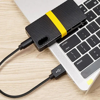 MEELANO 2TB bærbar SSD Solid State Drive til bærbar og pc | ekstern harddisk - Logan