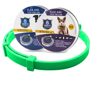 SafeGuard - Vlooien- en Tekenhalsband voor Honden & Katten | 8 Maanden Bescherming Groen
