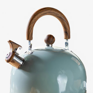 Inductie Fluitketel 2,5 L met Veiligheidsfuncties