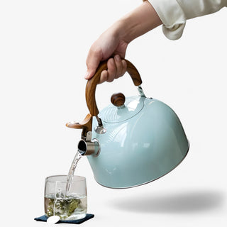 Inductie Fluitketel 2,5 L met Veiligheidsfuncties