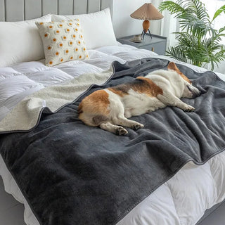 Waterdichte Deken voor Hond en Kat Zacht en Comfortabel 150x100 cm