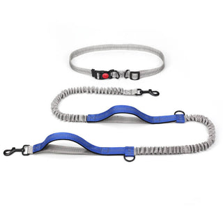 Retractable Double-Handled Multifunctional Dog Walking Leash Blue