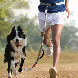 Retractable Double-Handled Multifunctional Dog Walking Leash Orange