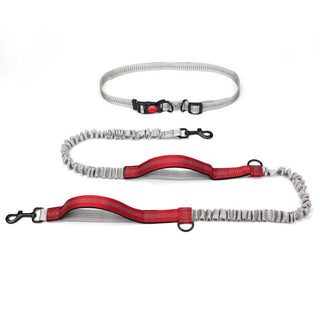Retractable Double-Handled Multifunctional Dog Walking Leash Red